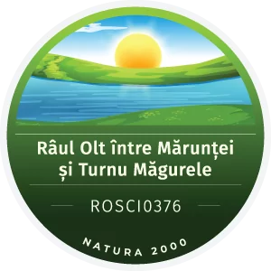 Râul Olt
